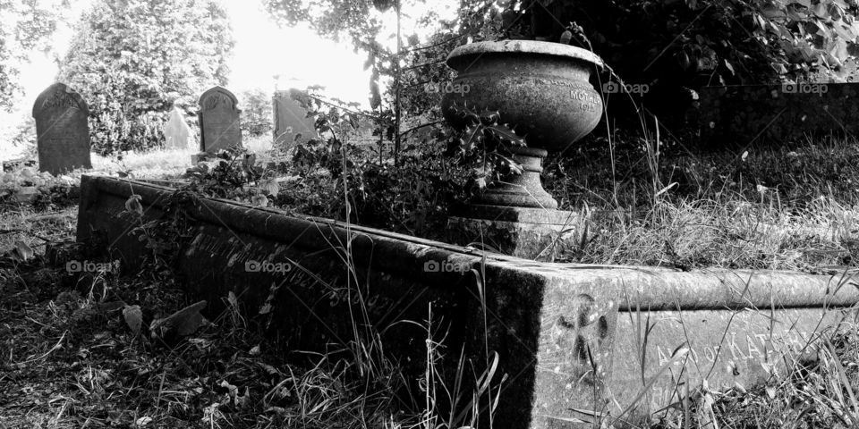 overgeown old grave