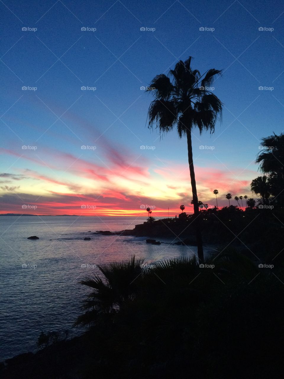 Winter Sunset. Sunsetting on a winters night