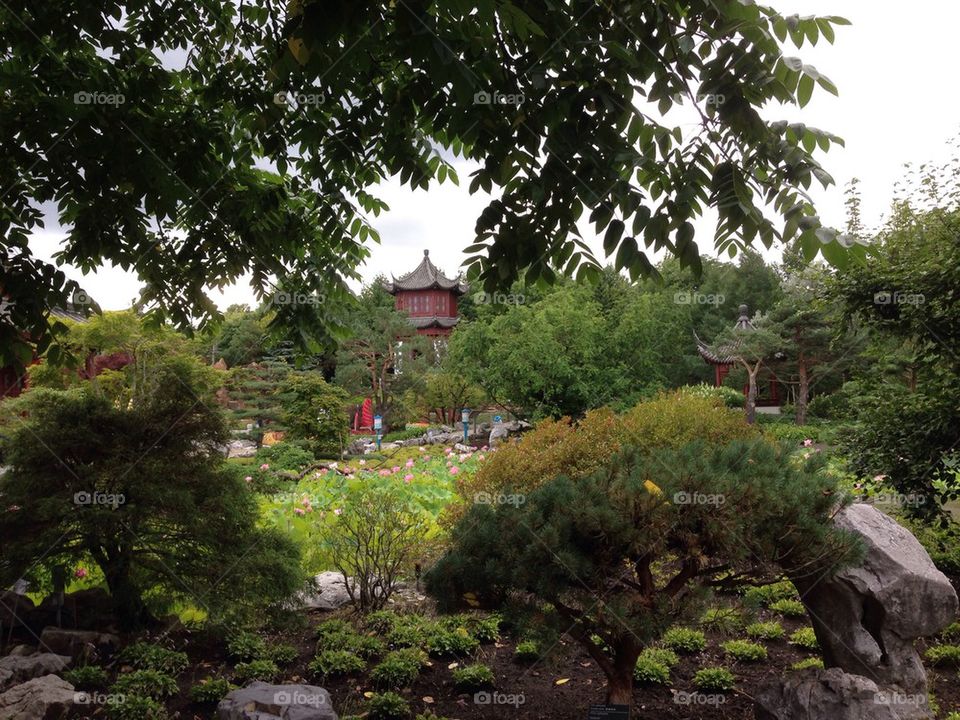 Botanical Chinese Gardens