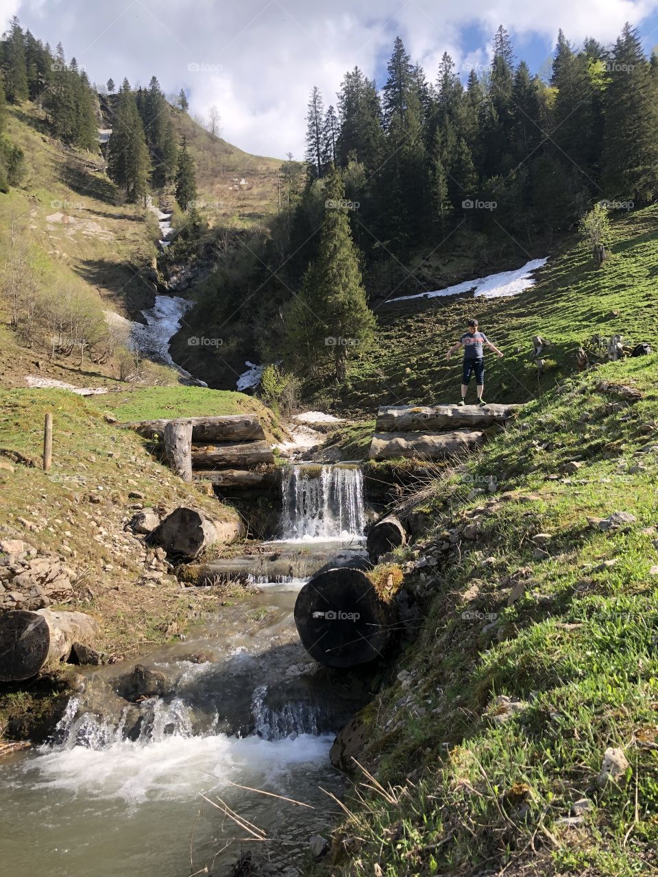 big green leaves, leaves of flowers, stones, grass, the sun is shining, spring , water flows, stream, waterfall, snow in the mountains
