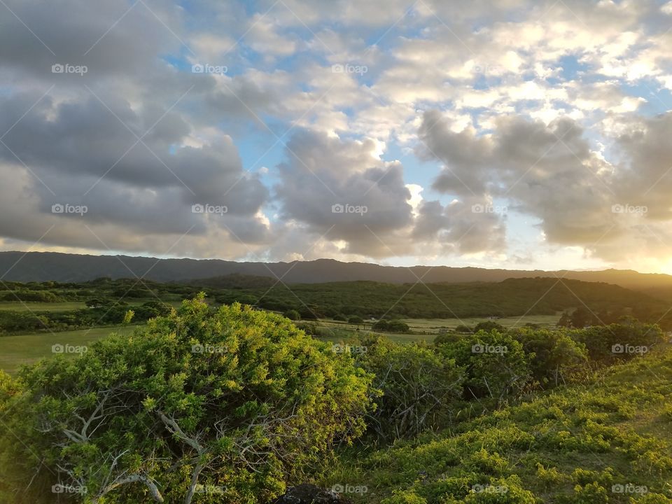 Oahu country side