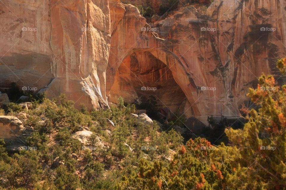 La Ventana Natural Arch