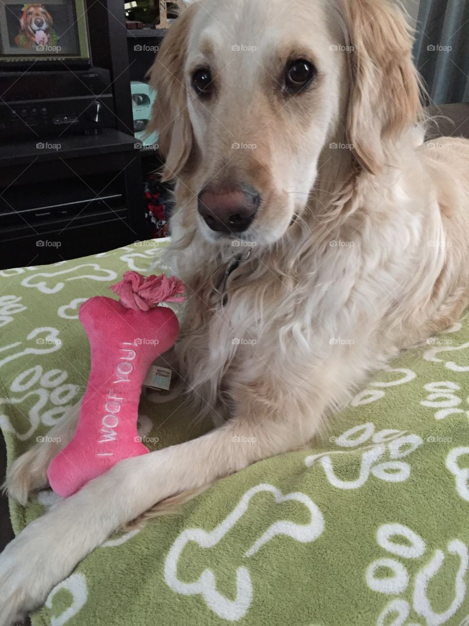 Happy Valentines Day