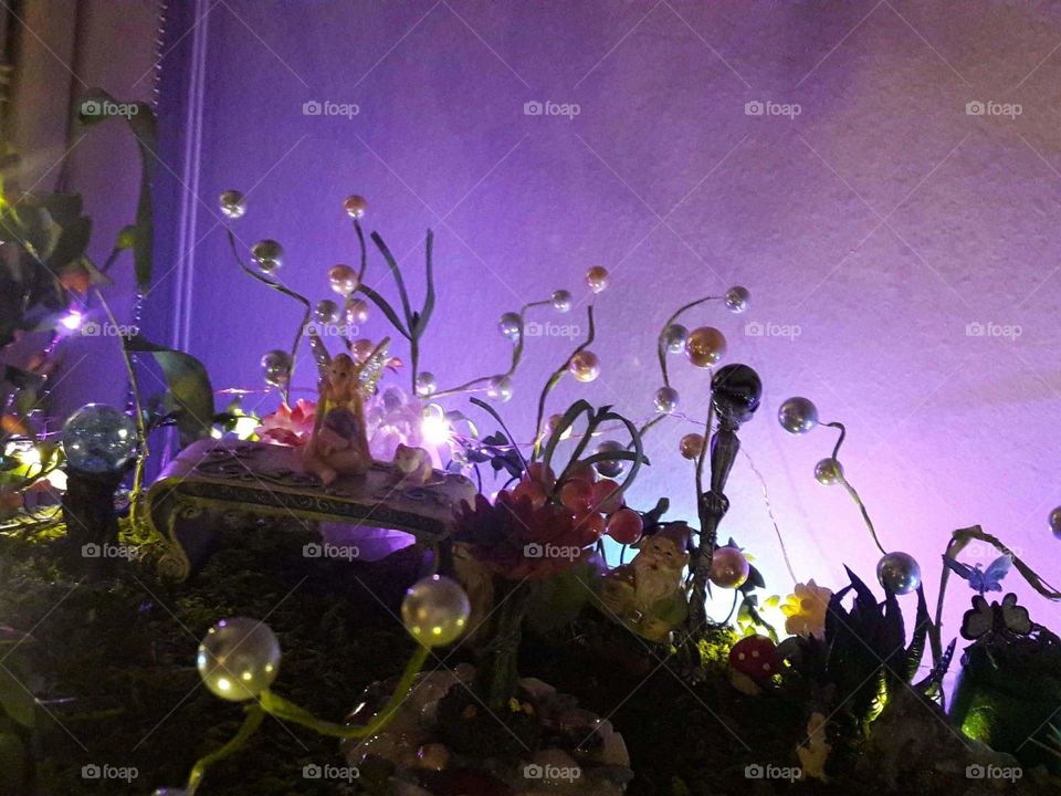 Faerie Terrarium I created