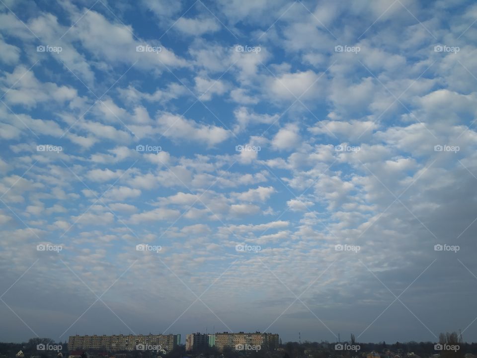 The ocean of morning clouds