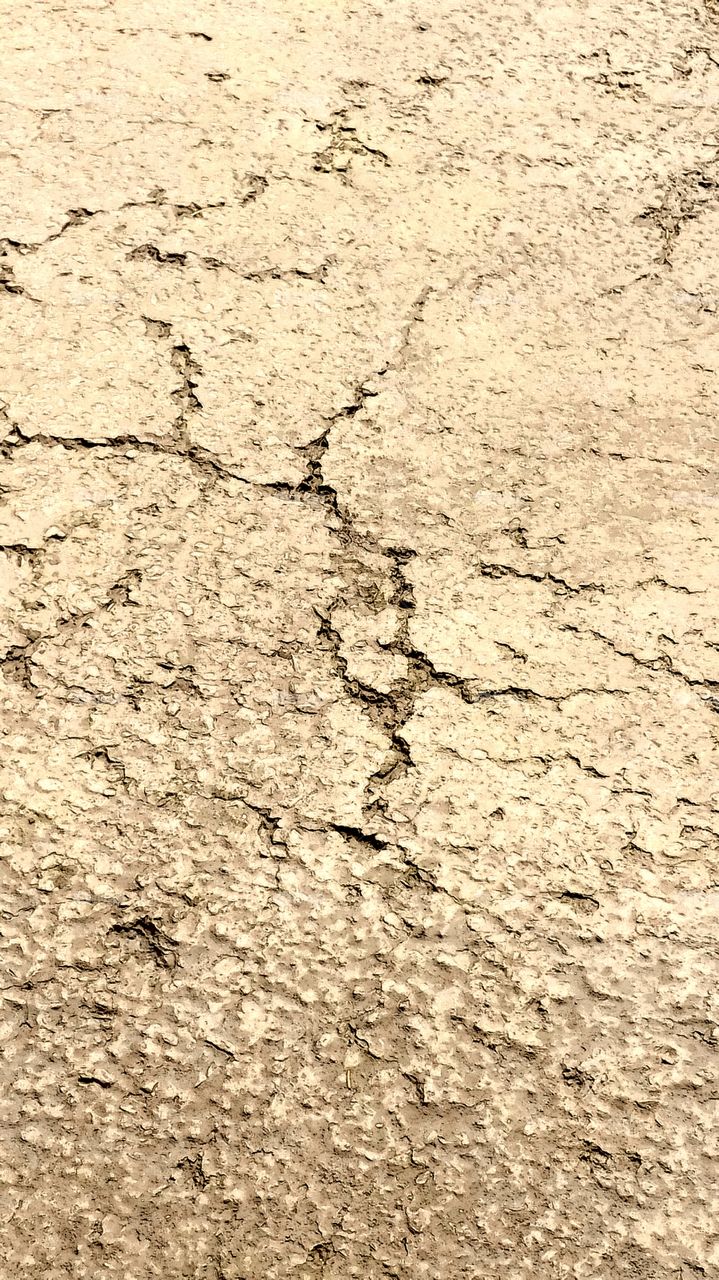 Close-up Cracked Driveway