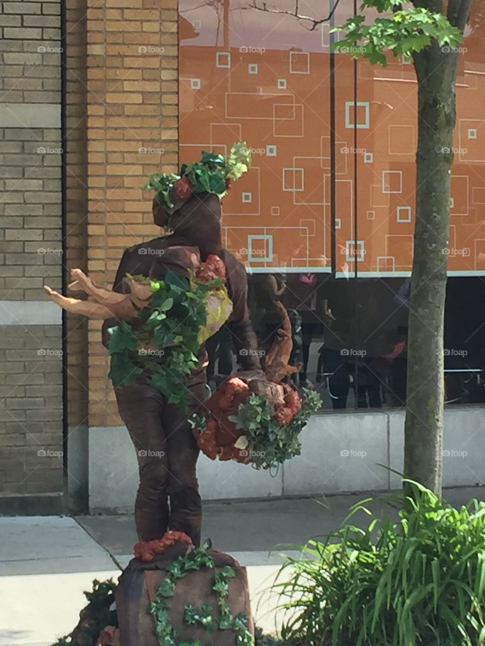 Guy dress up as a Tree....yeah I dunno