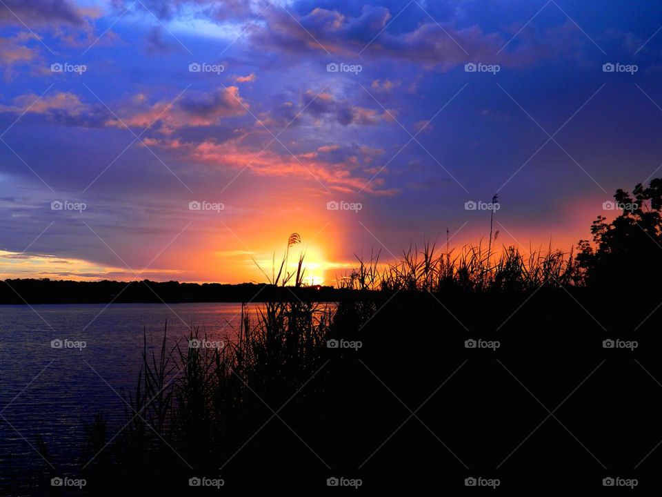 Blazing on the bayou