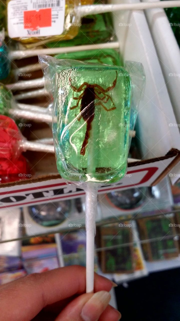 Scorpion Lollipop