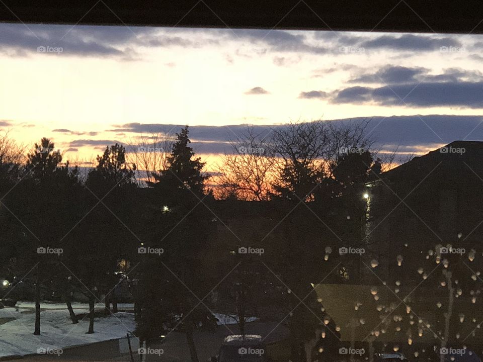 Pink clouds in horizon covered by trees. Snow outside on ground 