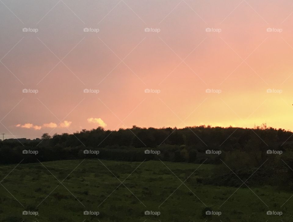 A photo of the orchards during a beautiful sunset. Such gorgeous colours creating a warm glow. 