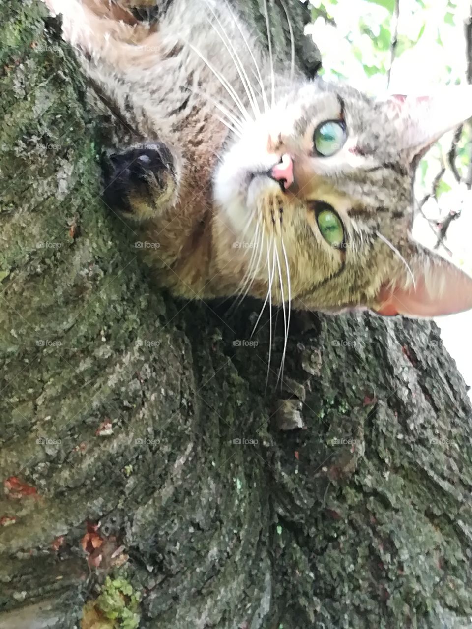 Look up side down