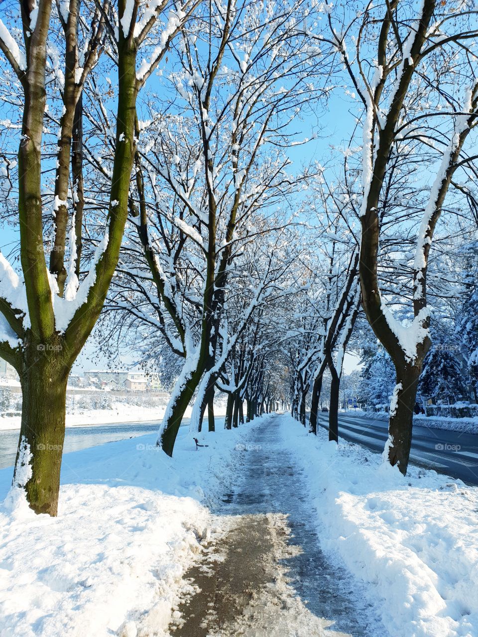 Snowy path