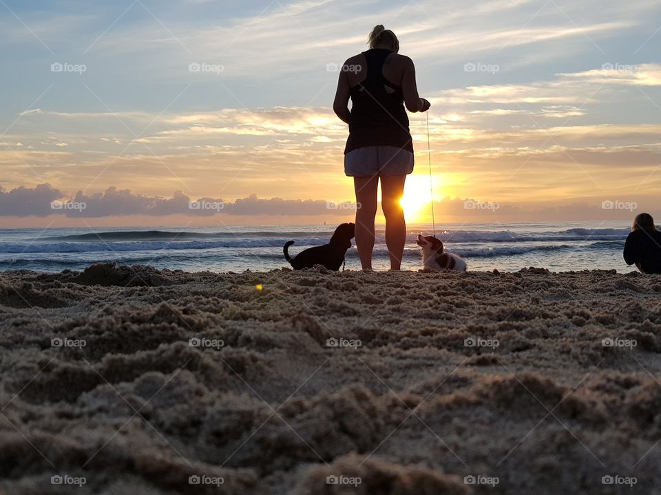 Obedient Dog training at Sunrise