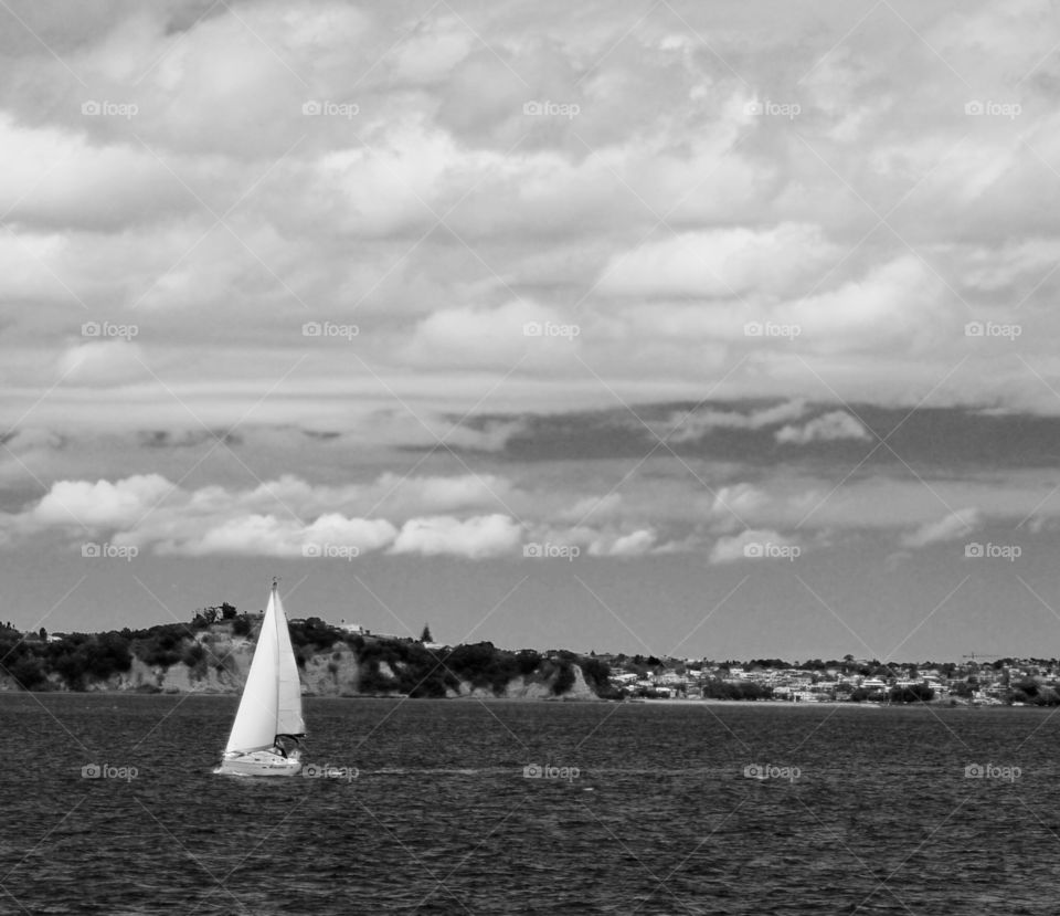 Black and white sailing in New Zealand 