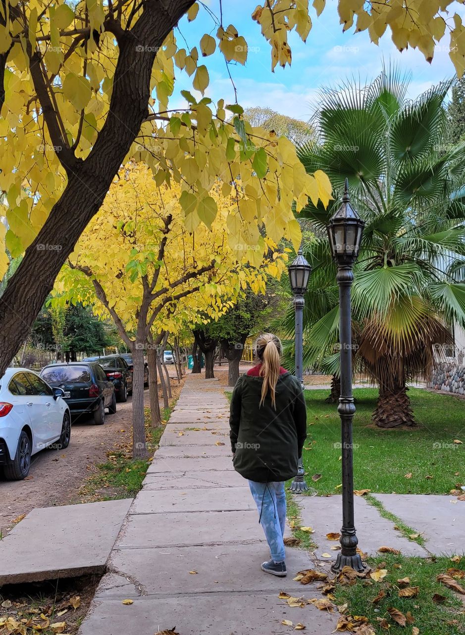 camino de otoño