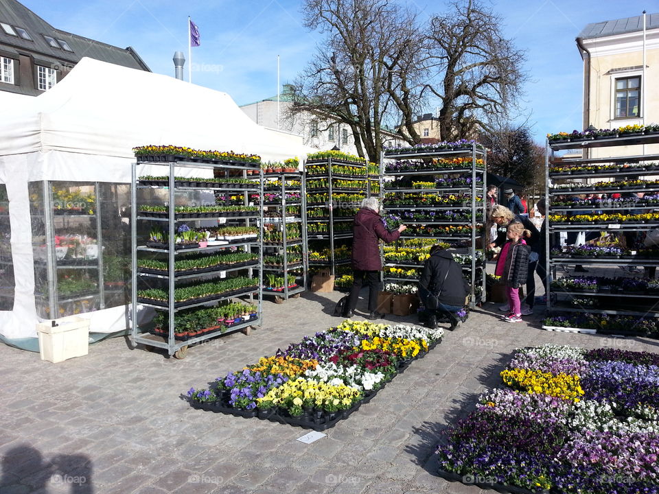 Market day
