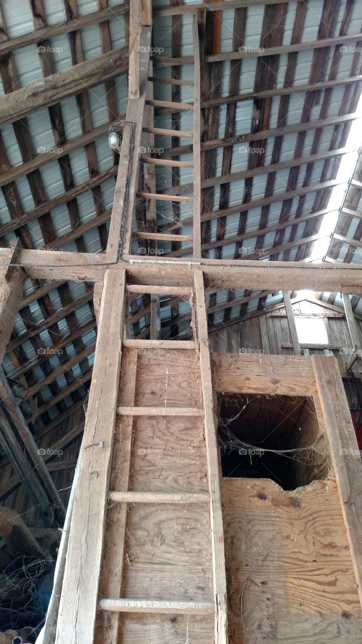 Architecture, Building, No Person, Wood, Expression