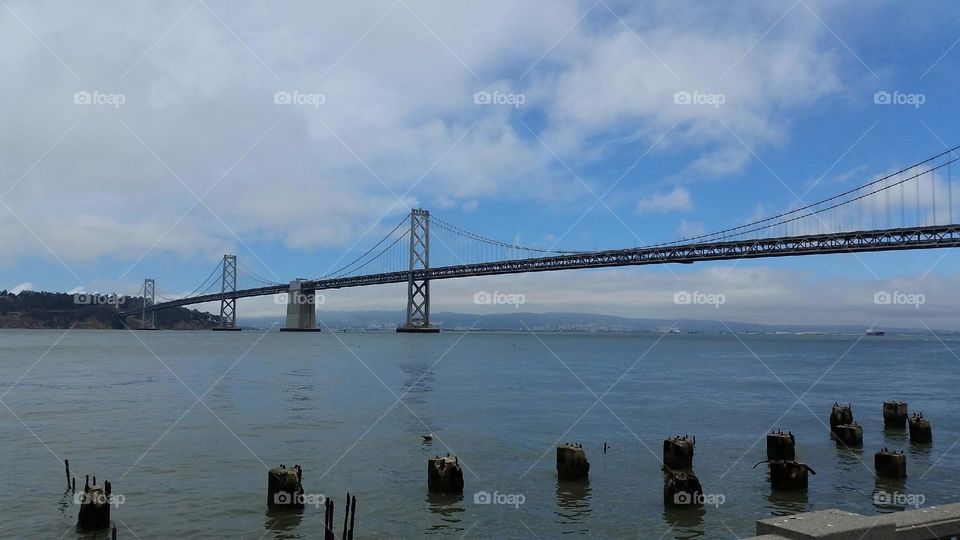 From the water's edge