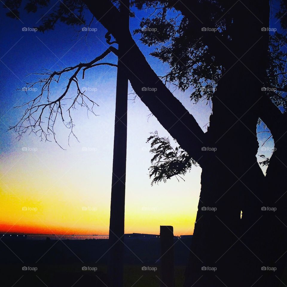 🌅Desperte, Jundiaí!
Que suas cores nos inspirem.
🍃
#sol #sun #sky #céu #photo #nature #morning #alvorada #natureza #horizonte #fotografia #pictureoftheday #paisagem #inspiração #amanhecer #mobgraphy #mobgrafia #Jundiaí #AmoJundiaí 