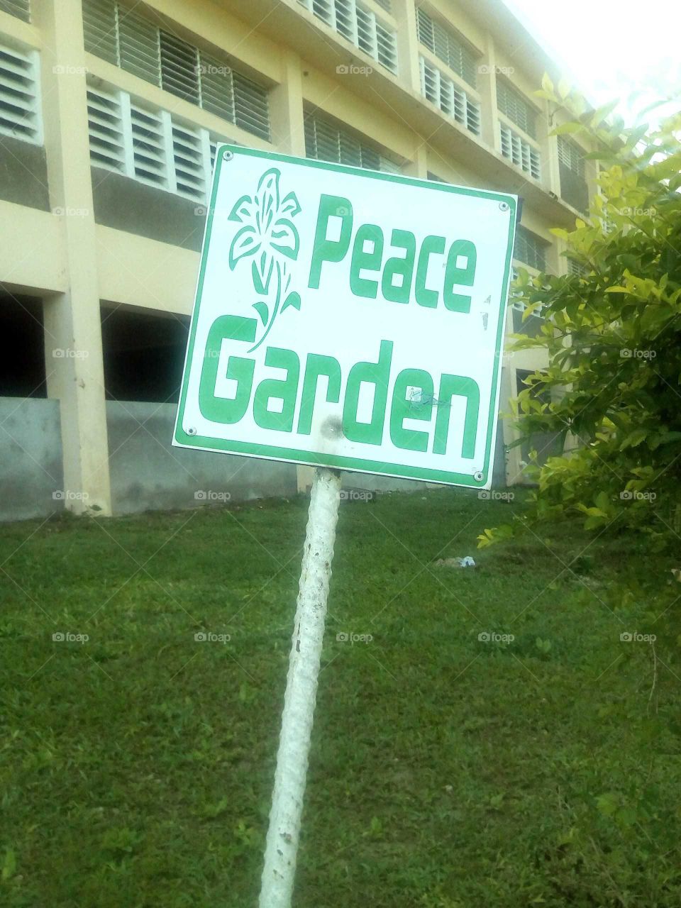 we all need peace in our mine and our body an our soul of let us all keep the peace.