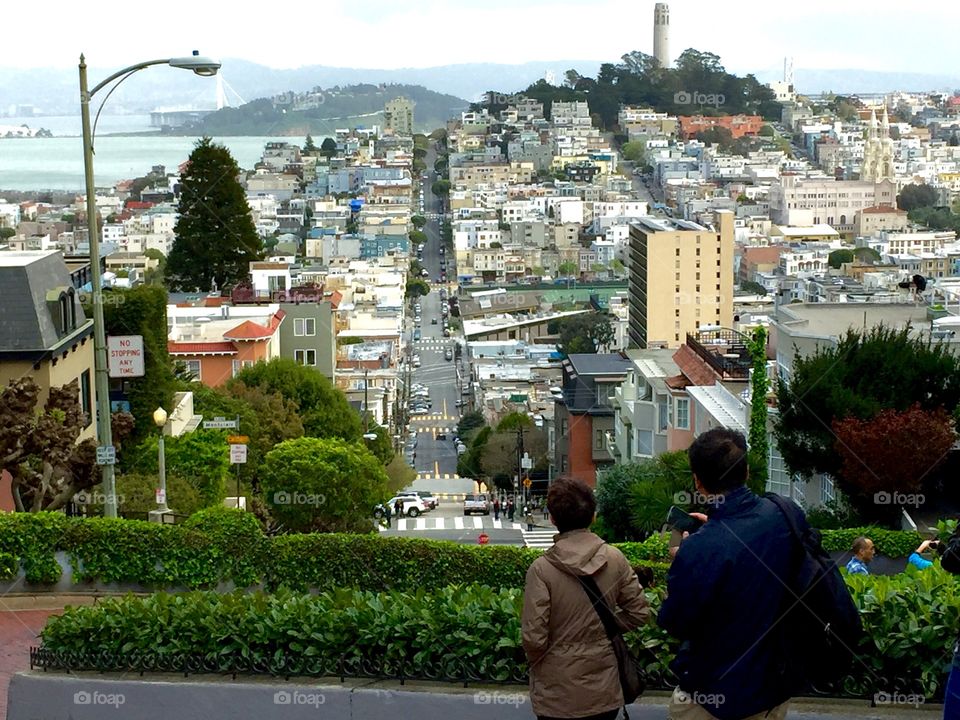 View of San Francisco from the top of Lombard Street. 