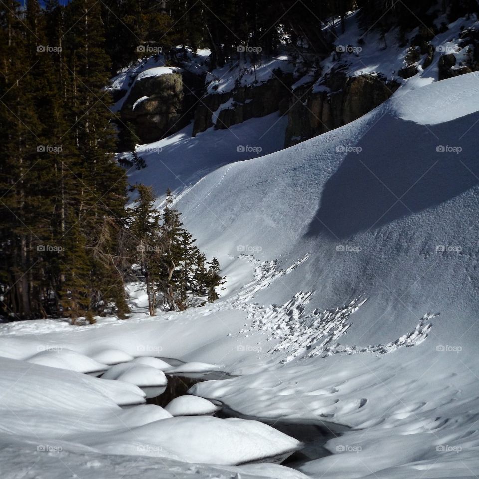 View of stream covered with snow during winter