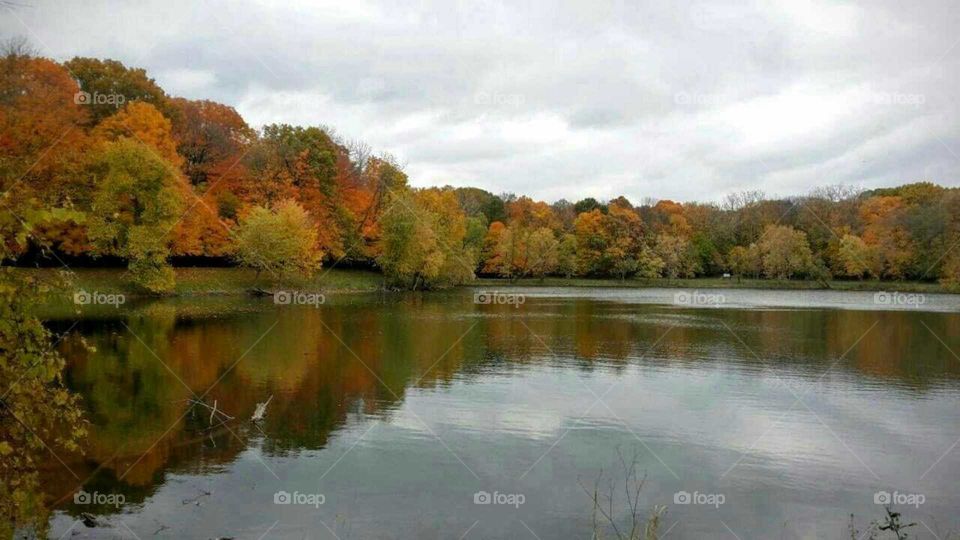 Scenic view of idyllic lake in autumn