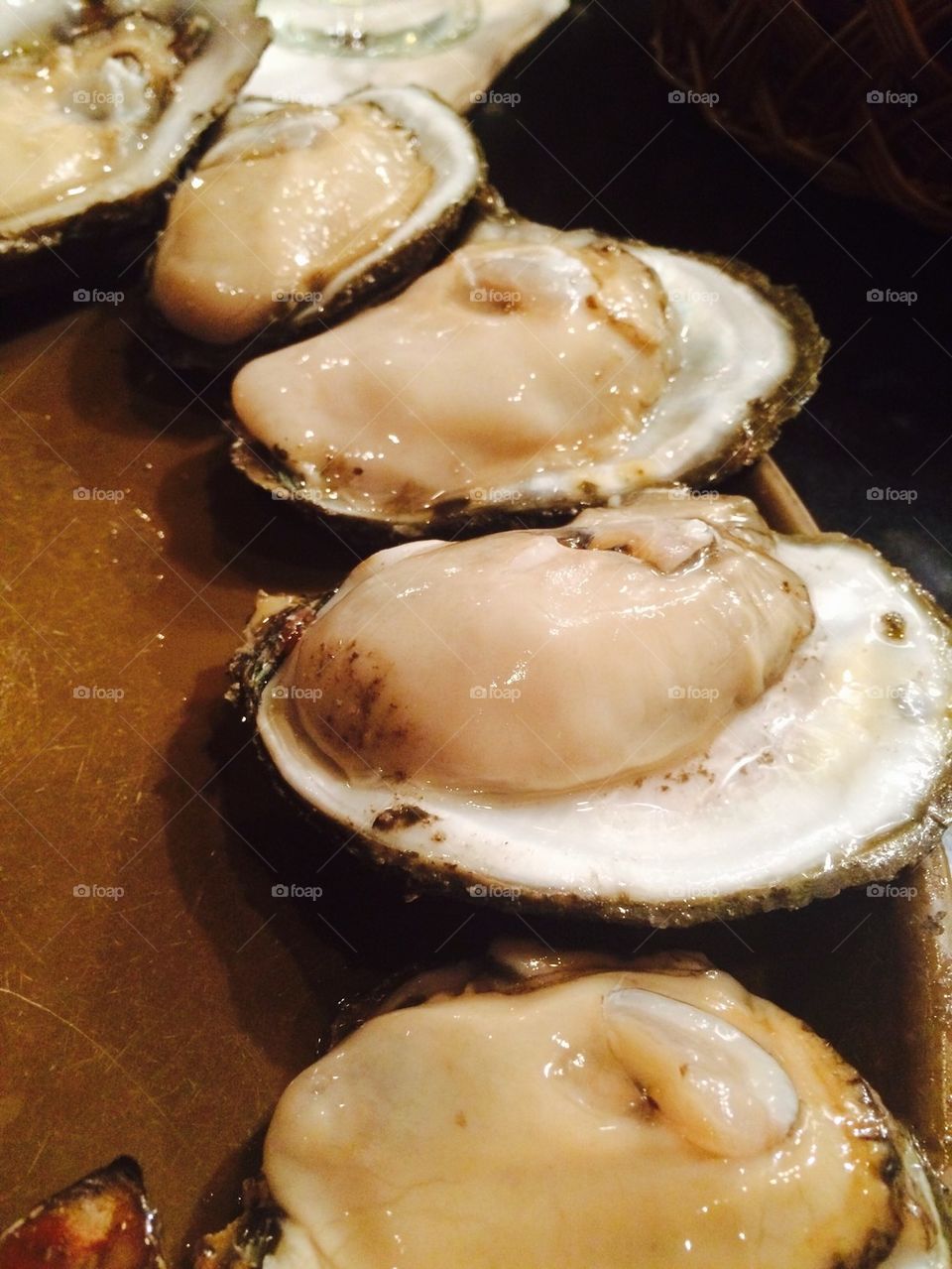 Plump Oysters