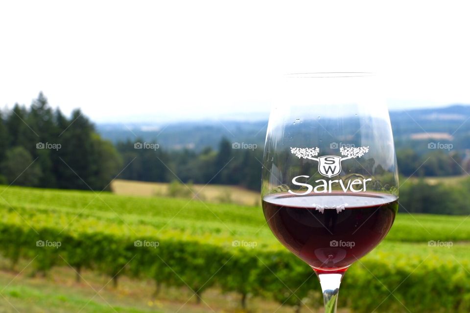 Wine view 