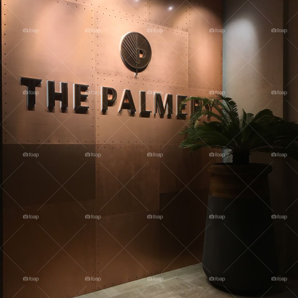The Palmery