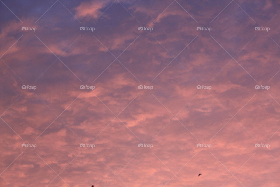 Blue pink sky Sunset 