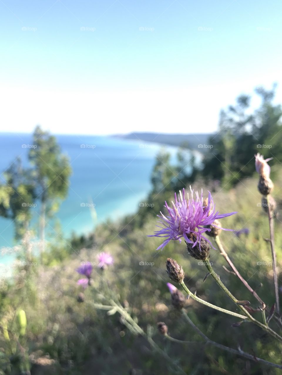 Sleeping bear dunes!