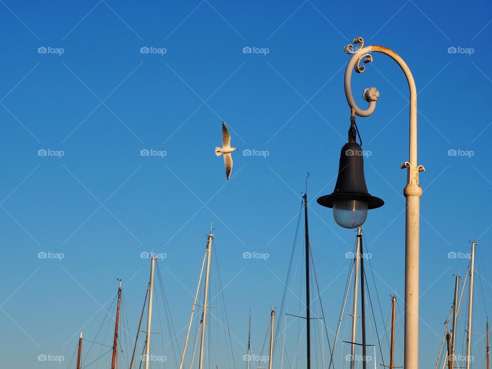 A streetlight, the musts of some ships and a seagull