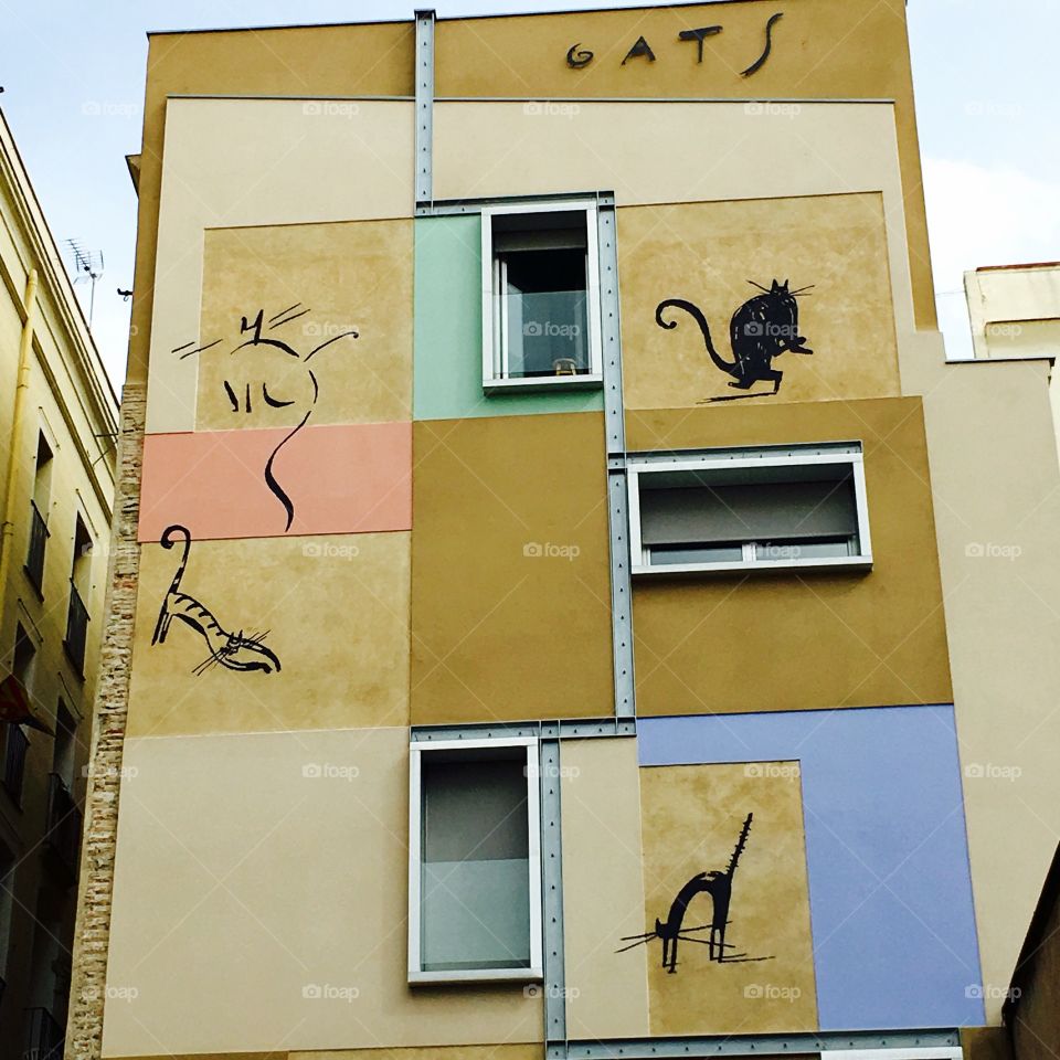 Cat Building Barcelona Spain