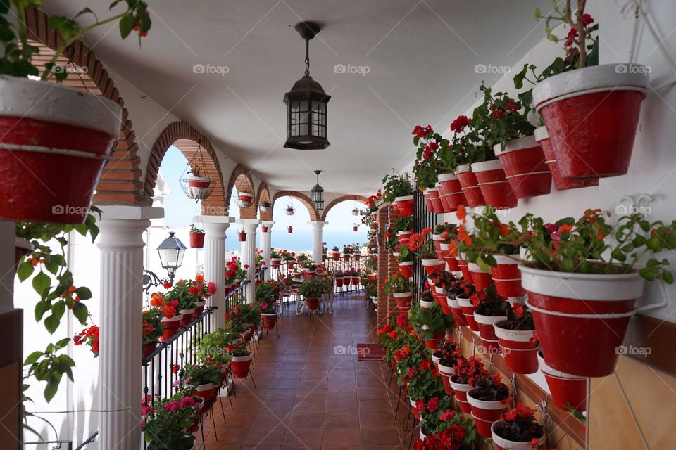 Crazy Plant People Mission ... Walls adorned with red flower pots everywhere 