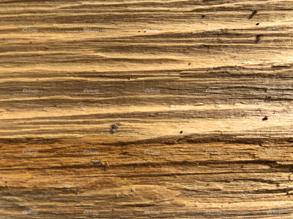 woody background texture