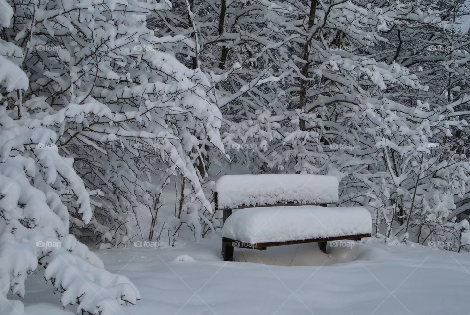 Bench