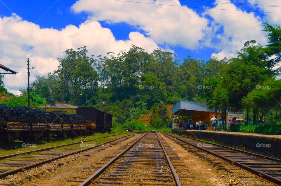 Railway, Locomotive, Train, Railroad Track, Track