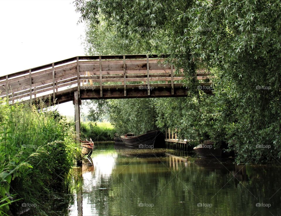 Marais de Saint Omer