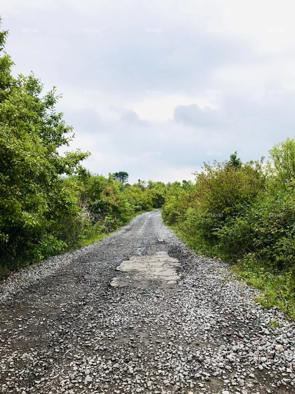 Road 