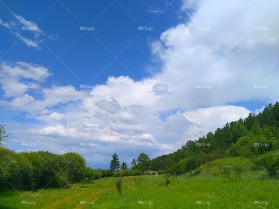 Blue sky and green field