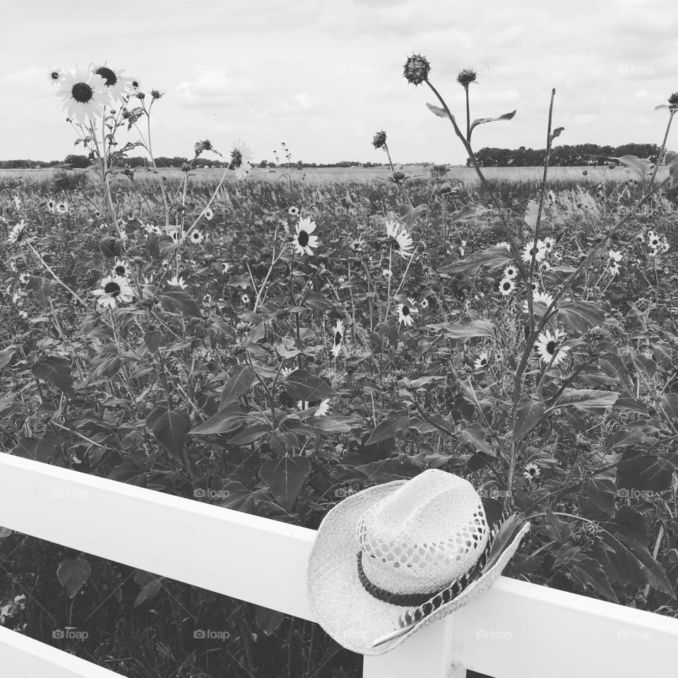 At the hundredth meridian where the Great Plains begin 