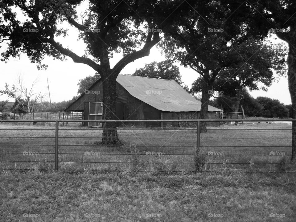 Texas farm house 🏡. This is a picture I took of a farm near Eliasville Texas