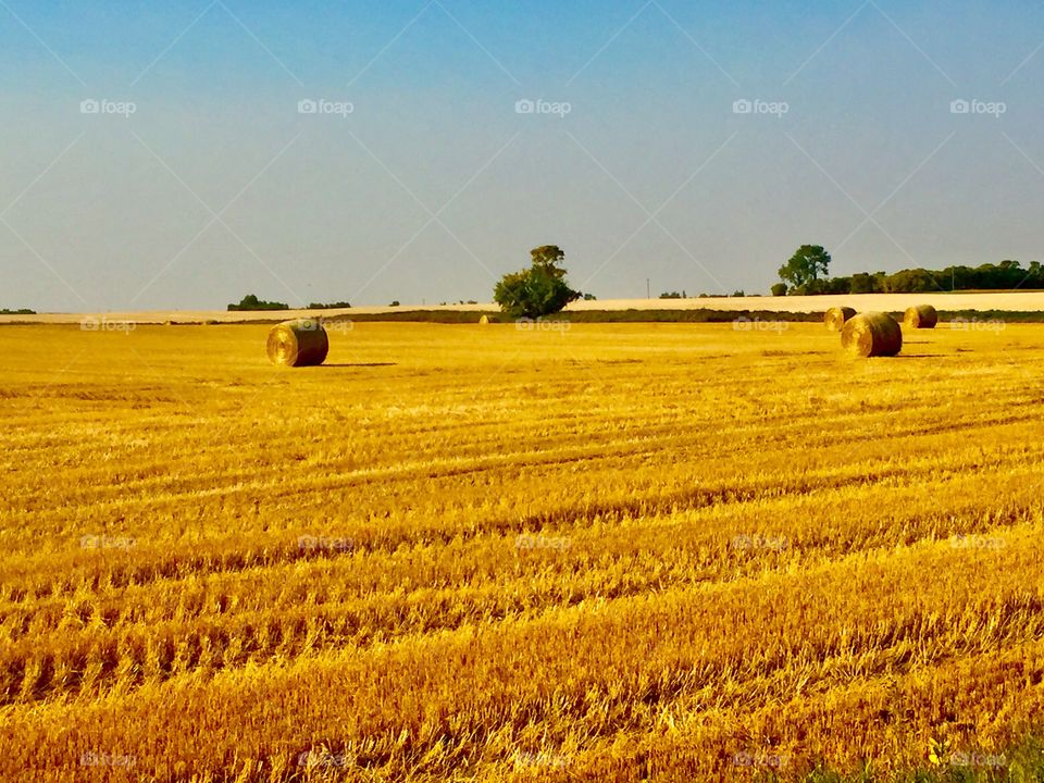 Brandon Manitoba prairie 