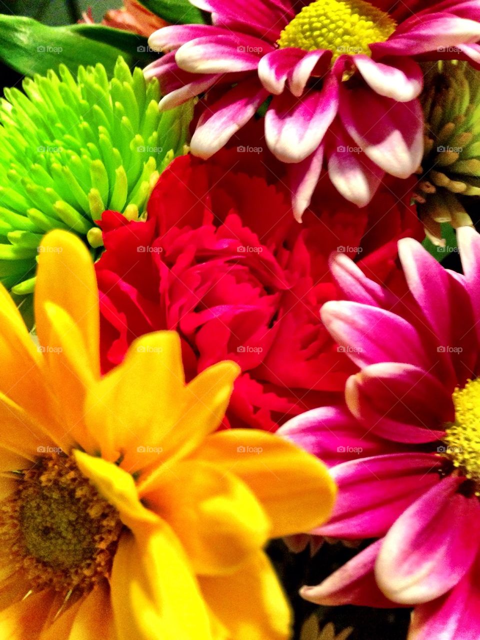 Colorful bouquet 