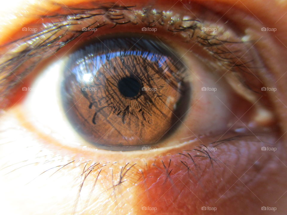 Extreme close-up of brown eyes