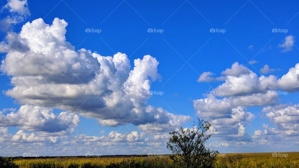 Clouds