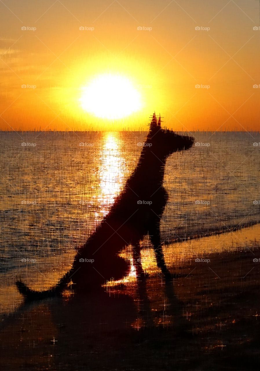 Photoart Dog Sunset Sean