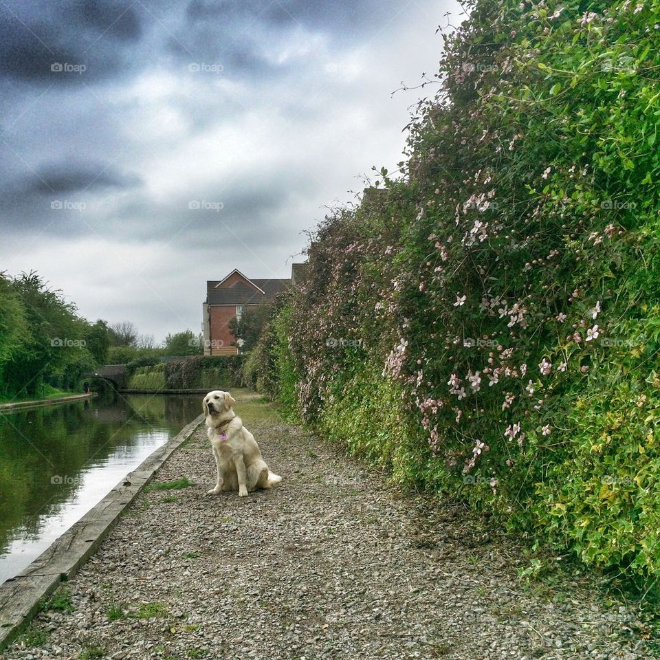 Zoe posing at the canal